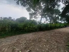 Tanah Kavling Depok Dekat Pondok Cabe, Cicilan 12x Tanpa Bunga!