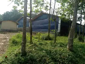 Dijual tanah dan bangunan kandang ayam di sukajaya jonggol bogor