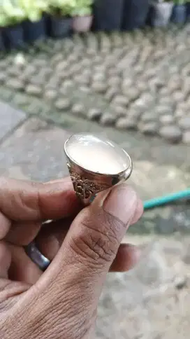Batu cincin anggur dan sisik naga