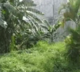 Tanah Komersial  Sudah Ada Rumah Joglo Cocok Untuk Bisnis