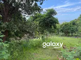 TANAH VIEW PANTAI LOVINA DI TIGAWASA BULELENG, BALI