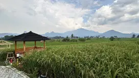 Jual Tanah kavling Eksklusif Hanya 50 menit dari bandara Ngurah Rai