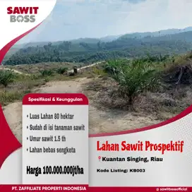 Jual lahan sawit  80Ha, kuantang singing, riau