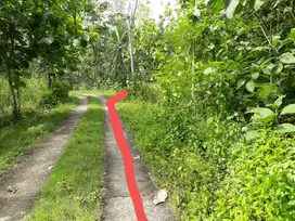 TANAH PEKARANGAN 1.040M2 250JT DEKAT JL PENGASIH, KULON PROGO.JK13379