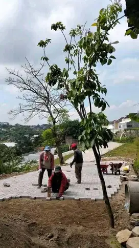Kavling Murah Cocok Untuk Investasi SHM Ready di Mangunharjo