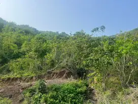 Tanah disewakan dekat pantai lancing dan tampah lombok