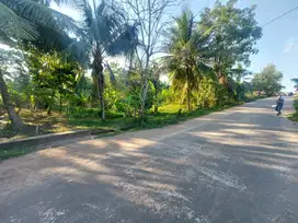 Kavling SHM di Alang-Alang Lebar Belakang CGC Nyaman Untuk Hunian
