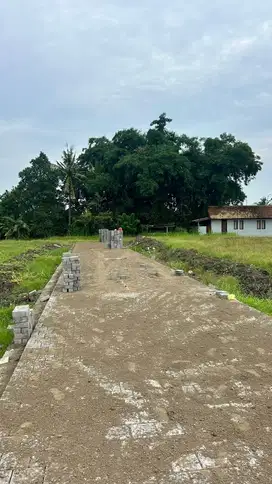 Dijual Tanah Kavling 3 are di Kaba Kaba - Tabanan (Update)