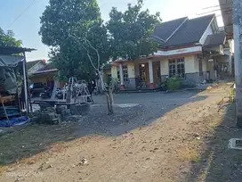 Di Jual Tanah Pekarangan Cantik Murah Sleman