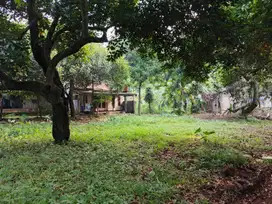 Kavling Legalitas Girik – Cikeas Asri Mulai 114 m²