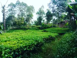 Jual tanah murah soreang kabupaten Bandung