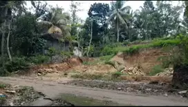 Jual Tanah Kebun di Wates Kulon Progo