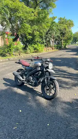 yamaha XSR 155 2022