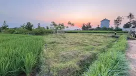 Tanah pekarangan 21x19 lokasi metro 29
