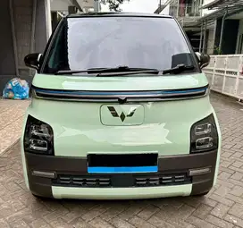 Wuling air ev Long Range