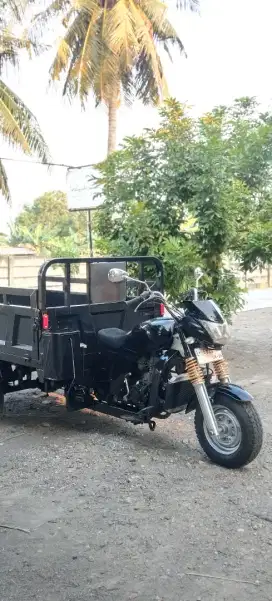 Viar 300cc long