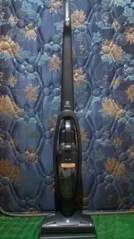 Vacuum Cleaner Electrolux