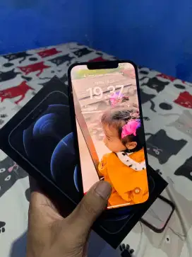 JUAL IPHONE 12 PROMAX 256GB