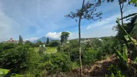 DIJUAL TANAH TANPA PERANTARA SHM LUAS TOTAL 4732m² HARGA /METER 2.5jt