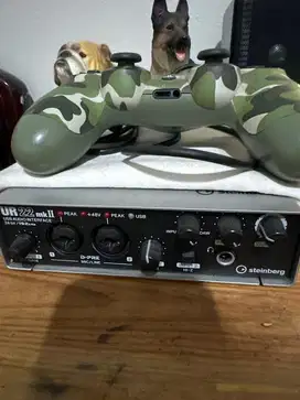 Soundcars steinberg UR 22 MK II