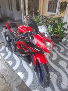 Kawasaki Ninja RR mono 250