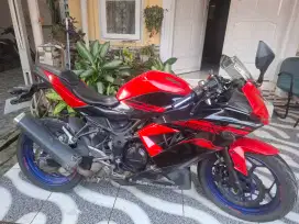 Kawasaki Ninja Mono 250