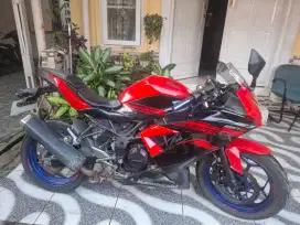 Kawasaki Ninja 250 Mono