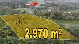 Beautiful Land Ocean and Rice Field View Selamadeg Tabanan Bali
