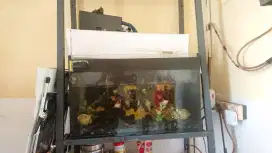 Aquarium Full Set