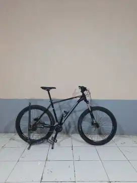 POLYGON XTRADA 6 TAHUN 2020