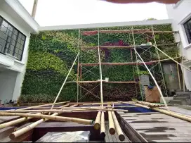 Vertical garden - taman vertical garden