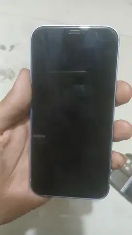 Iphone 12 basic 64GB ( inter ) ALL OPERATOR warna purple