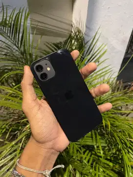 iphone 12 64 inter