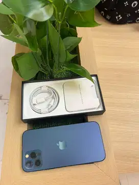 iphone 12 pro 128gb sederhana