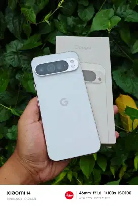 Google Pixel 9 Pro XL 16/256 Beacukai Like New