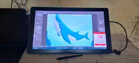 HUION KAMVAS 22 PLUS