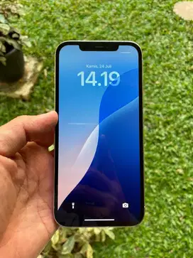 Iphone 12 Pro Max 128gb All Operator
