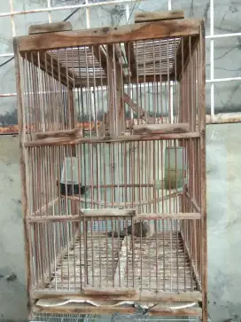 Perkukut alam plus kandang