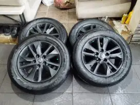 Copotan Inova V reborn 2018