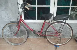 Sepeda minion bridgestone