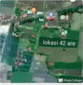 Tanah dekat jalan utama provinsi sawah