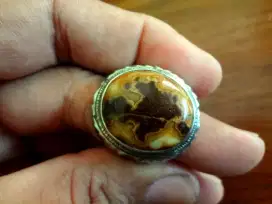 Batu Akik Motif Gambar Ikan Koki