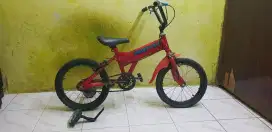 Sepeda anak ukuran L
