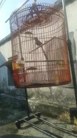 JUAL MURAI BATU