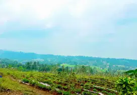 DiJual Tanah View Cantik Sukabumi SHM