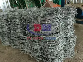 Kawat Duri GALVANIS P.100 Mtr/Roll