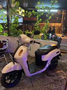 Motor Fazio 2023