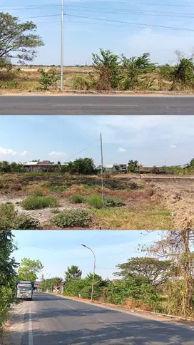 LELANG TANAH/KAVLING MURAH 0 JALAN RAYA METATU BENJENG GRESIK