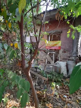 Rumah Murah Perlu Renov di Permata Cikampek