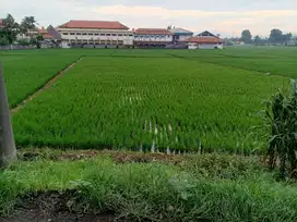 DIJUAL TANAH DI PINGGIR JALAN ARTERI WELERI